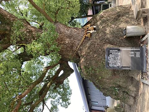 株式会社永和工業｜香川県の橋梁新設・補修・保全工事会社